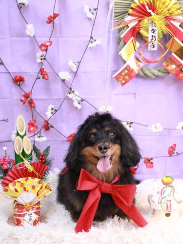 20230109ショコラちゃん